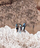 Tree of Life - Hostel