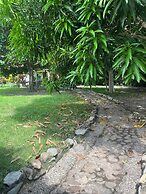 Tree of Life - Hostel