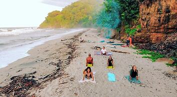 Tree of Life - Hostel