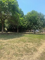 Tree of Life - Hostel