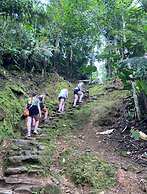 Tree of Life - Hostel