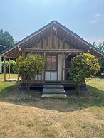 Tree of Life - Hostel