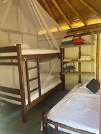 Tree of Life - Hostel