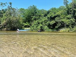 Tree of Life - Hostel