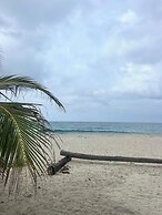 Tree of Life - Hostel