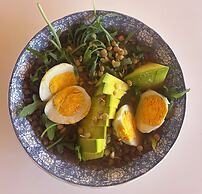 Tree of Life - Hostel