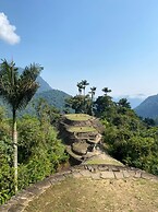 Tree of Life - Hostel