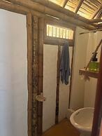 Tree of Life - Hostel