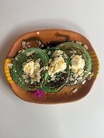 Tree of Life - Hostel