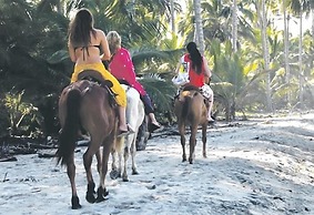 Tree of Life - Hostel