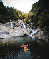 Tree of Life - Hostel