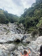 Tree of Life - Hostel