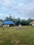 Tree of Life - Hostel