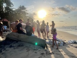 Tree of Life - Hostel