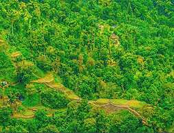 Tree of Life - Hostel