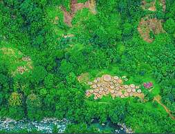 Tree of Life - Hostel