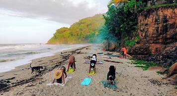 Tree of Life - Hostel