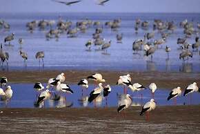 Casa Rural La Lagunilla Golf