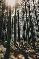 Get Hotel Molvento, AKEN Soul Collection