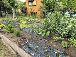 Sasayakana Ouchi S Nogi