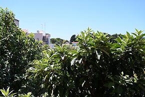 Helena Apartments in Paradisi Rhodes