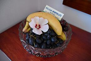 Helena Apartments in Paradisi Rhodes