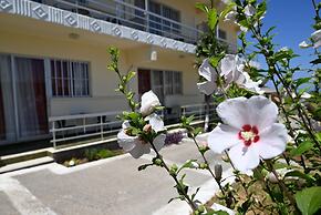 Helena Apartments in Paradisi Rhodes