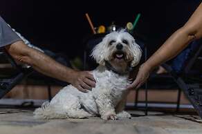 Villa Akulica With Heated Outdoor Pool and Seaview