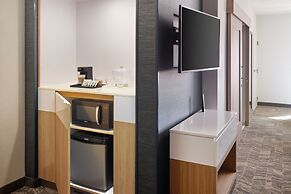 SpringHill Suites by Marriott Arlington TN