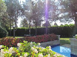 Relax in our Stunning Residence - Beahost