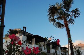 Recently Built Apartment With Swimming Pool and Garden