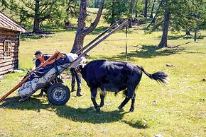 Alag Tsar Tourist Camp Khuvsgul Mongolia