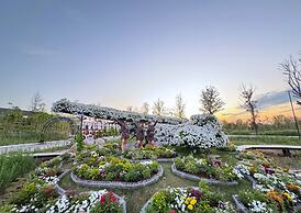 See Stars & Forest Resort