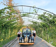 See Stars & Forest Resort