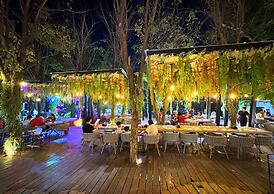 See Stars & Forest Resort