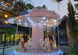 See Stars & Forest Resort