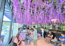 See Stars & Forest Resort