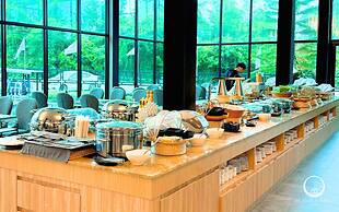 See Stars & Forest Resort