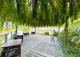 See Stars & Forest Resort