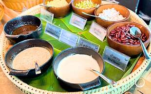 See Stars & Forest Resort