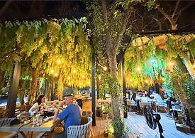 See Stars & Forest Resort