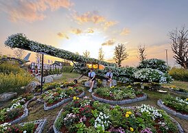 See Stars & Forest Resort