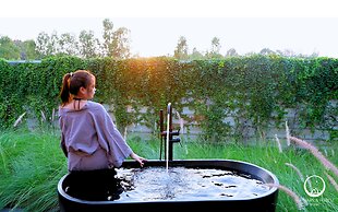 See Stars & Forest Resort