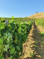 Ponte Calatrasi Agriturismo