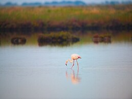 Charming Apartment in the Heart of Rosolina Mare