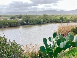 New Appartment at 100 mt From the sea