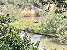 New Appartment at 100 mt From the sea