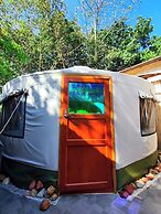 Nomad Yurts