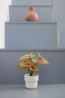 The Hammersmith Apartments