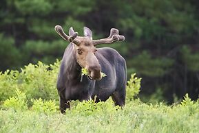 Hay Meadow Lodge 3 Bedroom Townhouse by RedAwning